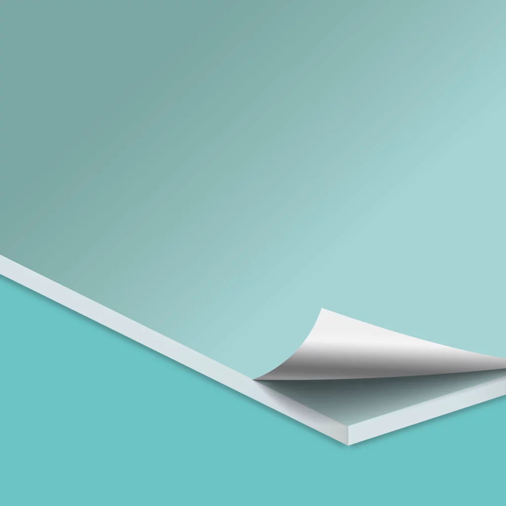 Clear Acrylic Print + Mount