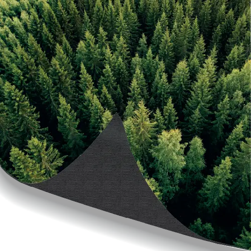 Blockout / Black Backed