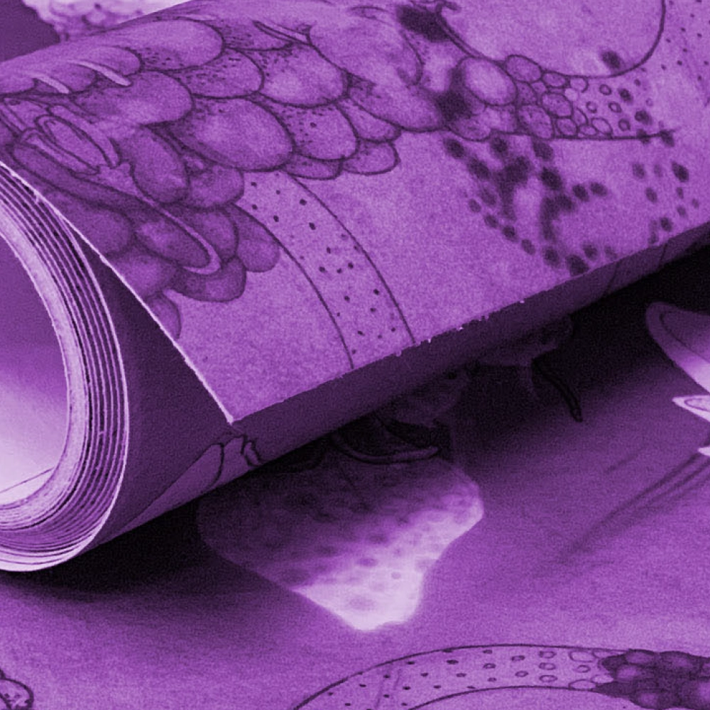 Pasteable Wallpaper popup test